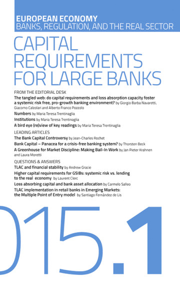Capital Requirements for Large Banks